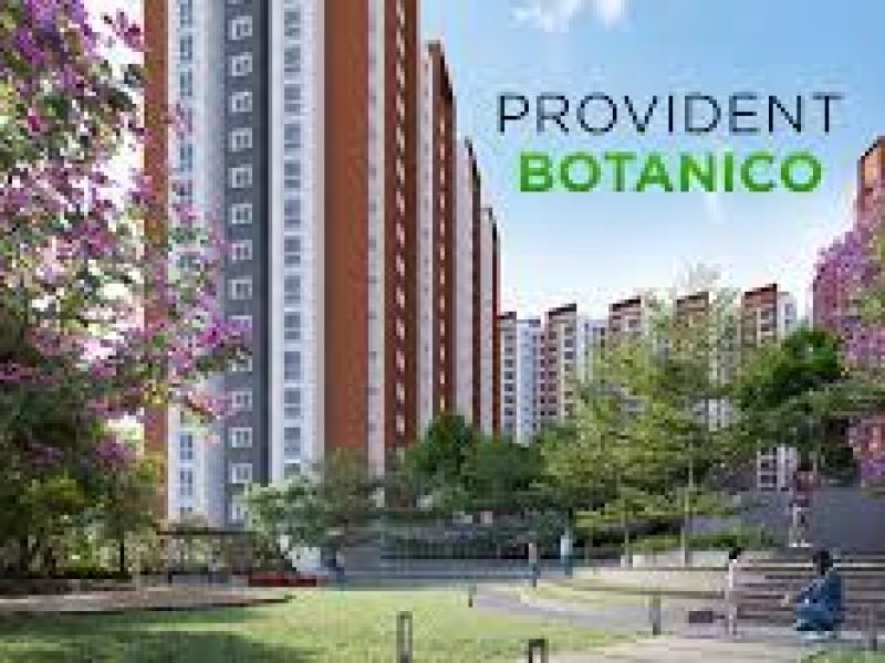 Provident Botanico